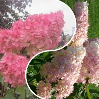 Комплект МНОГОГРАННОСТЬ в Астрахани