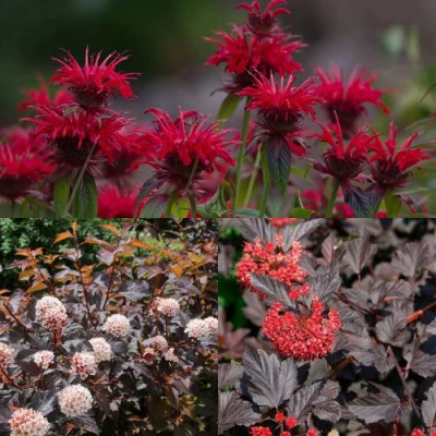 Комплект ОГНЕННЫЙ МИКС в Астрахани