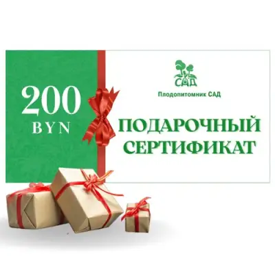 Подарочный сертификат на 200 BYN в Астрахани
