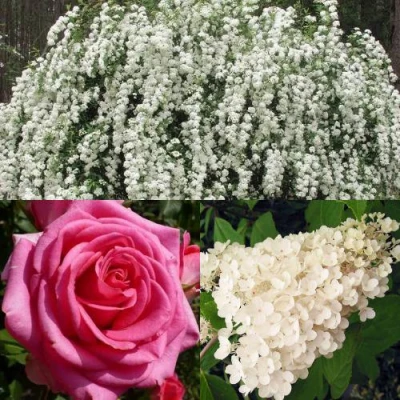 Комплект ВЕЧНАЯ КЛАССИКА в Астрахани