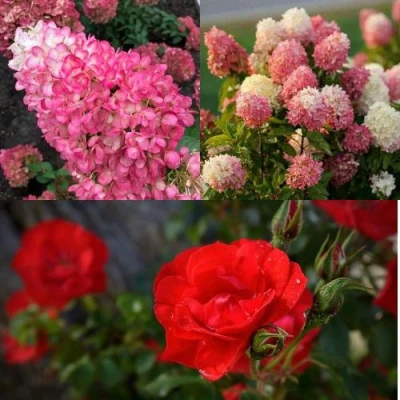 Комплект РОЗОВЫЙ ЗАКАТ в Астрахани