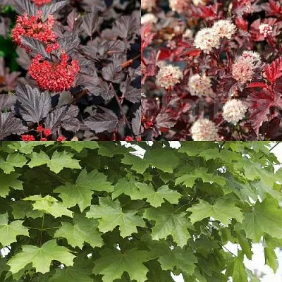 Комплект ОСЕННИЙ КОСТЕР в Астрахани