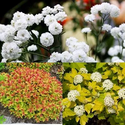 Комплект СОЛНЕЧНЫЙ МИКС в Астрахани