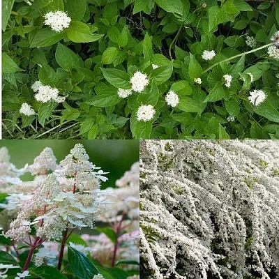 Комплект СКАНДИНАВСКИЙ СТИЛЬ в Астрахани