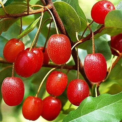 Гуми в Астрахани