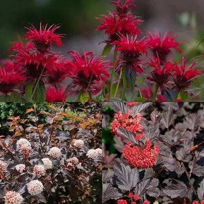 Комплект ОГНЕННЫЙ МИКС в Астрахани