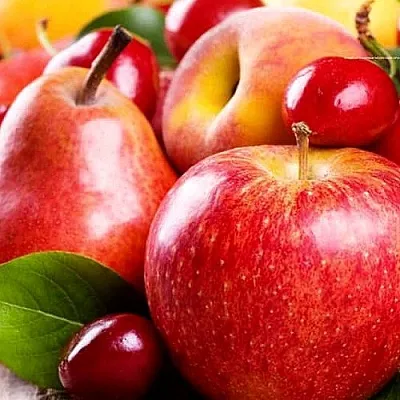 Плодовые деревья  Плодовые деревья в Астрахани