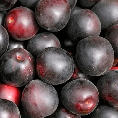 Абрикос ЧЕРНЫЙ ПРИНЦ в Астрахани