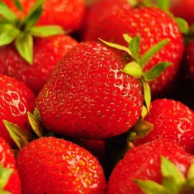 Клубника в Астрахани