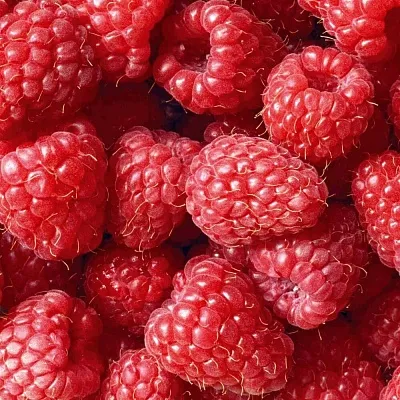 Летняя  Летняя в Астрахани