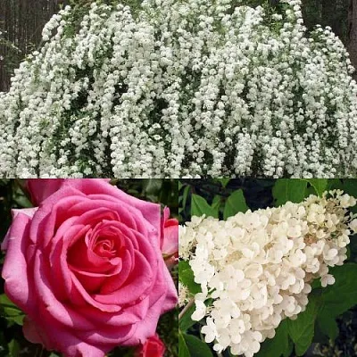 Комплект ВЕЧНАЯ КЛАССИКА в Астрахани