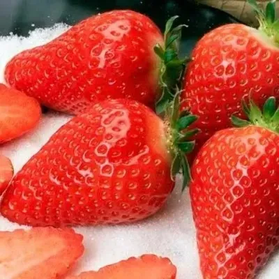 Клубника АЛЬБА купить в Астрахани недорого, цена